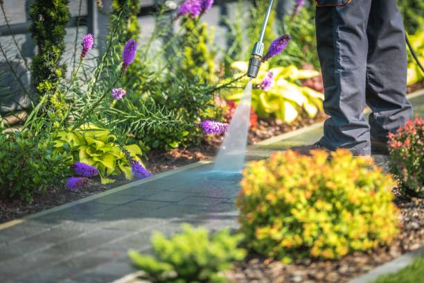 Trusted Flagler Estates, FL Pressure Washing Experts