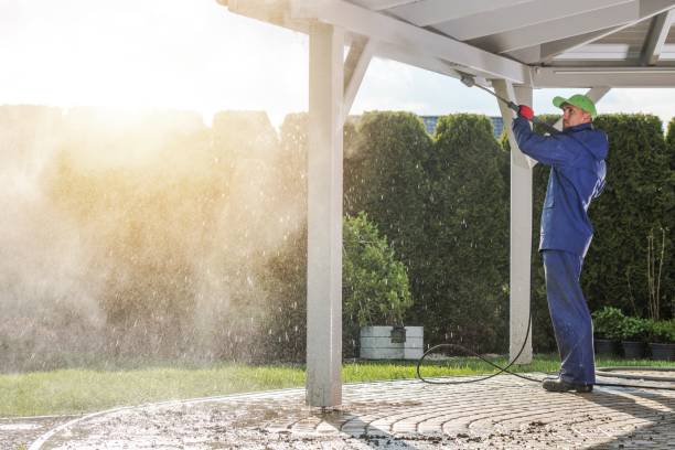 Best House Exterior Washing  in Agler Estates, FL