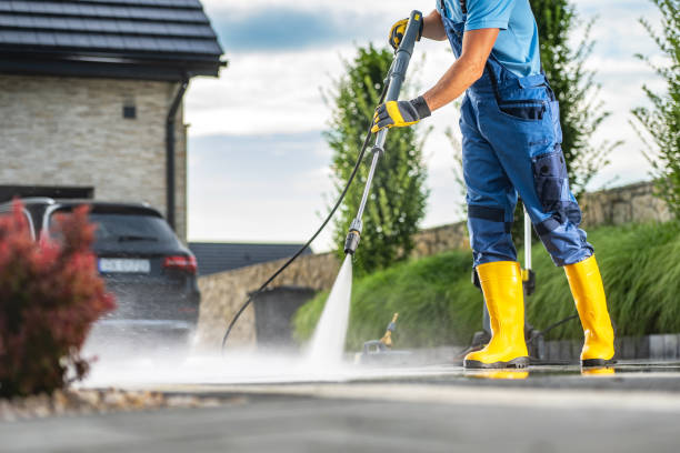 Best Gutter Cleaning  in Agler Estates, FL